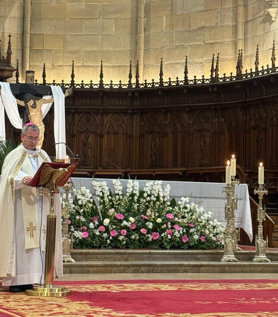 Oración por el nuevo papa