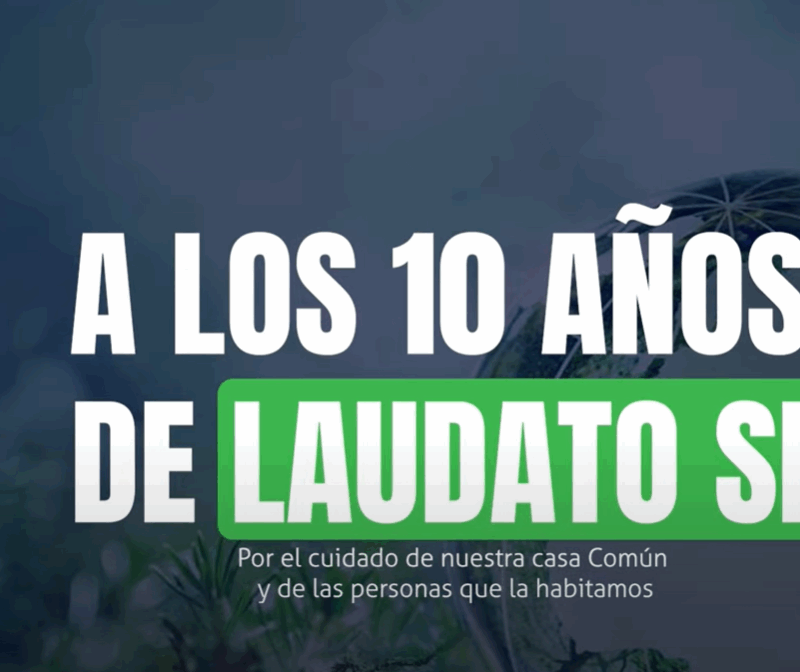10 años de “Laudato Si” (Videos de la Diócesis de Pamplona y Tudela)