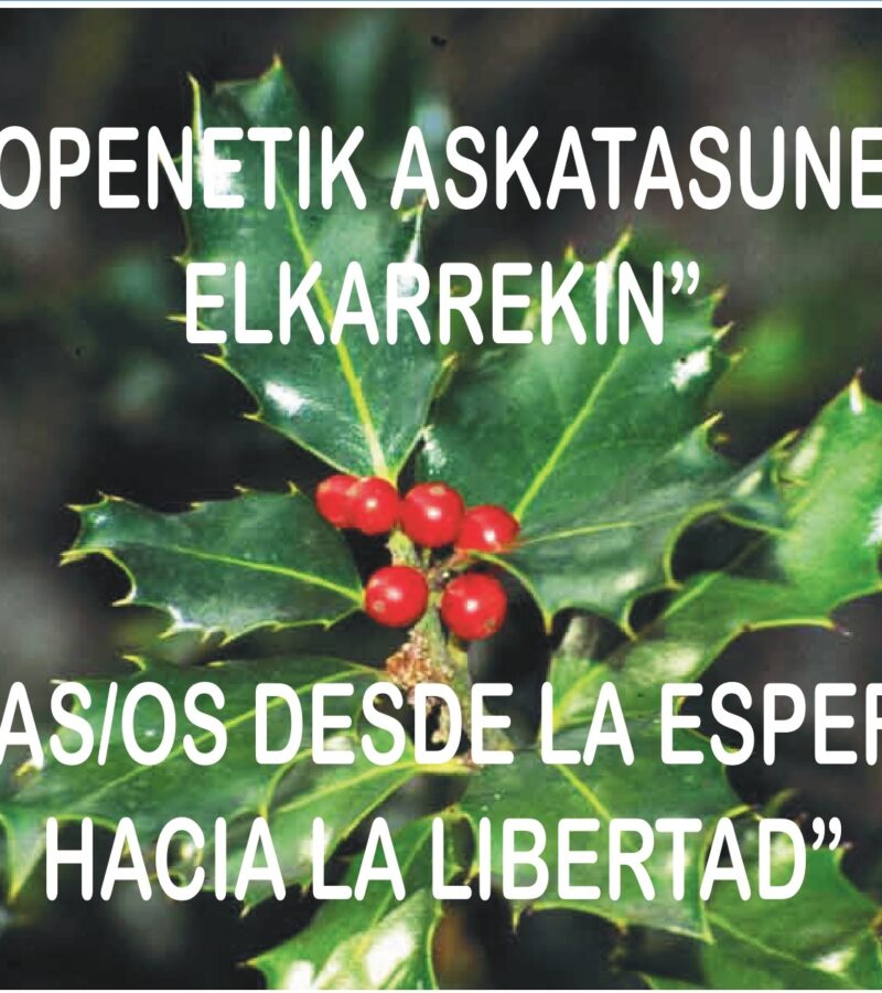 Pastoral Penitenciaria: CAMPAÑA DE NAVIDAD (2025)