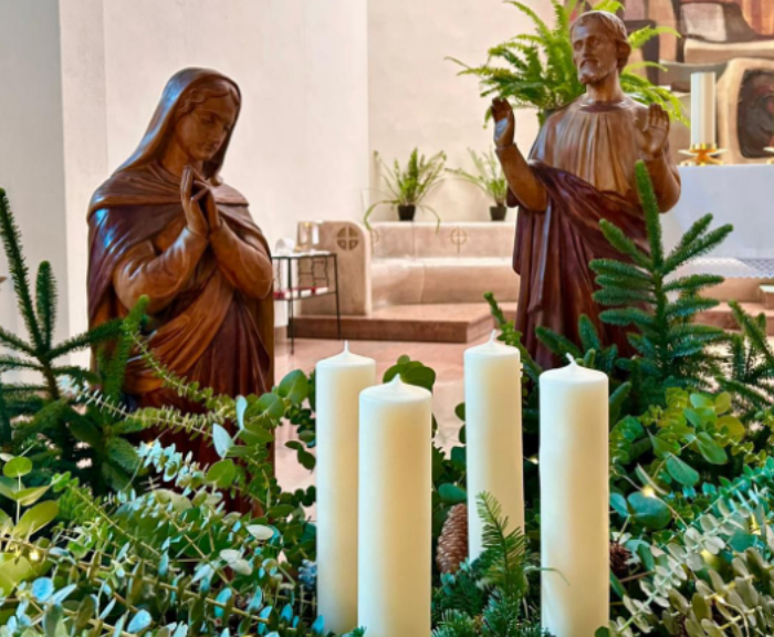 Noticias de la semana (12/12/2025)