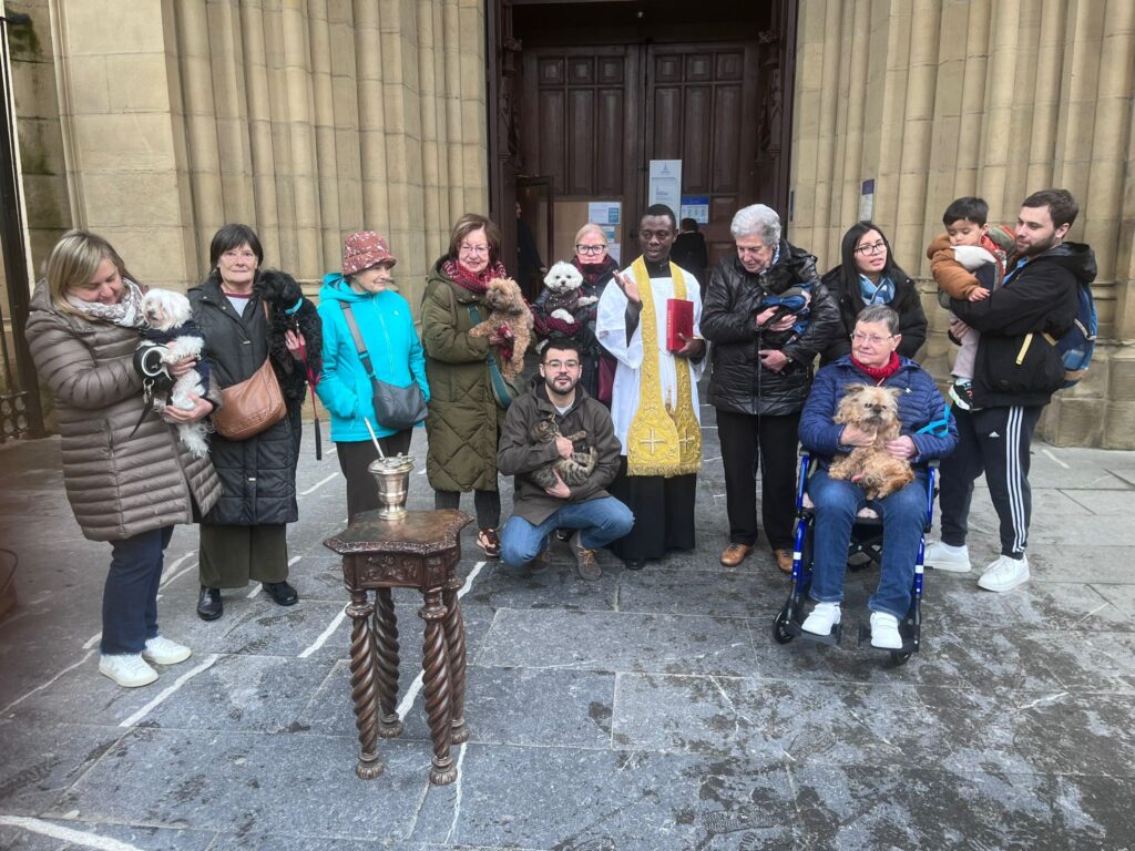 Bendición de animales en la festividad de San Antón