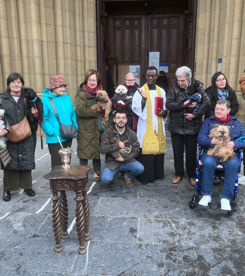 Bendición de animales en la festividad de San Antón