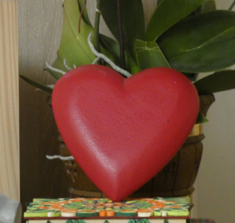 Jornada Mundial de la Persona Enferma