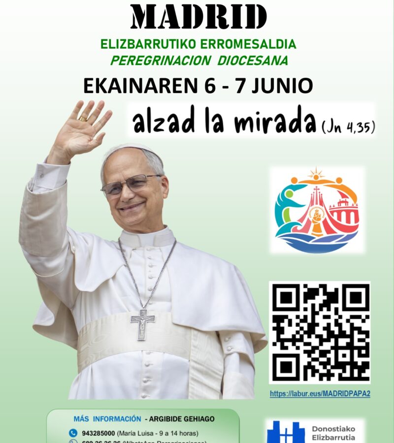 Tres opciones para no perderte la visita del Papa