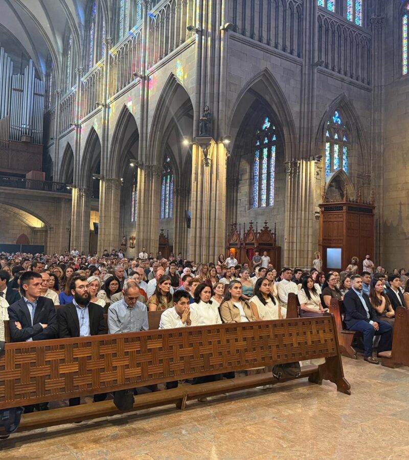 82 adultos reciben el sacramento de la Confirmación en la catedral del Buen Pastor